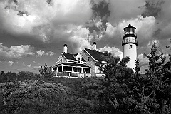 Evergreens Surround Highland Light on Cape Cod- BW